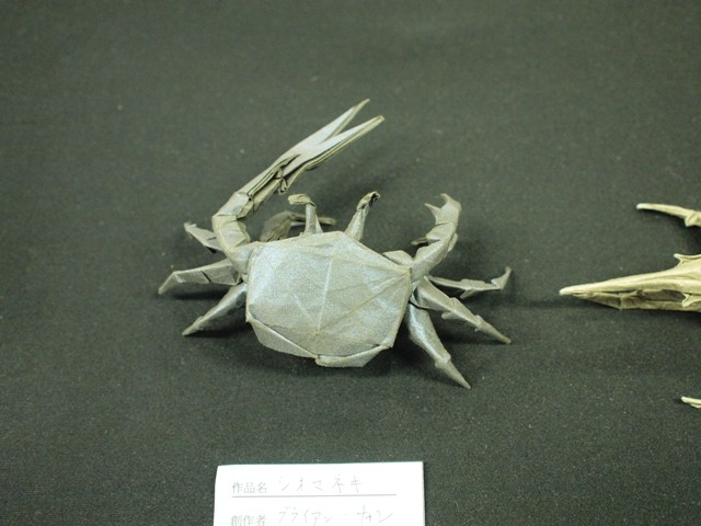 シオマネキ (Fiddler Crab)